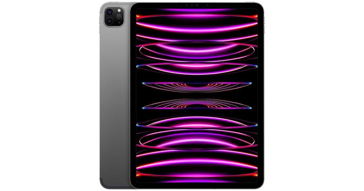 Apple iPad Pro 11.0 2022 (Wi-Fi / 256 GB / Space Gray) [MNXF3CI/A
