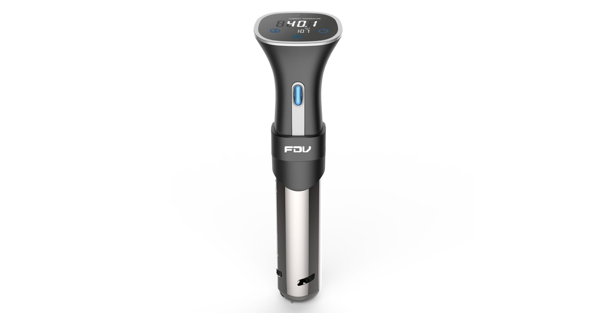 FDV Roner Sous Vide 80W | SoloTodo.cl